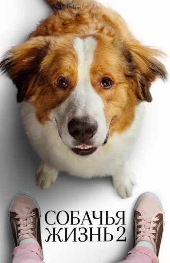 Собачья жизнь 2