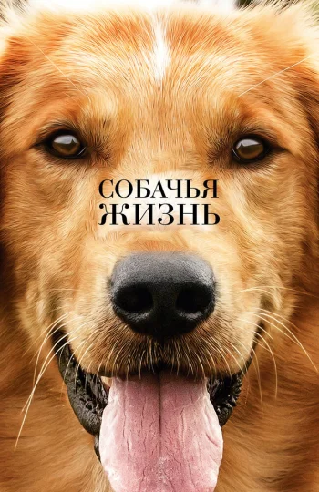 Собачья жизнь